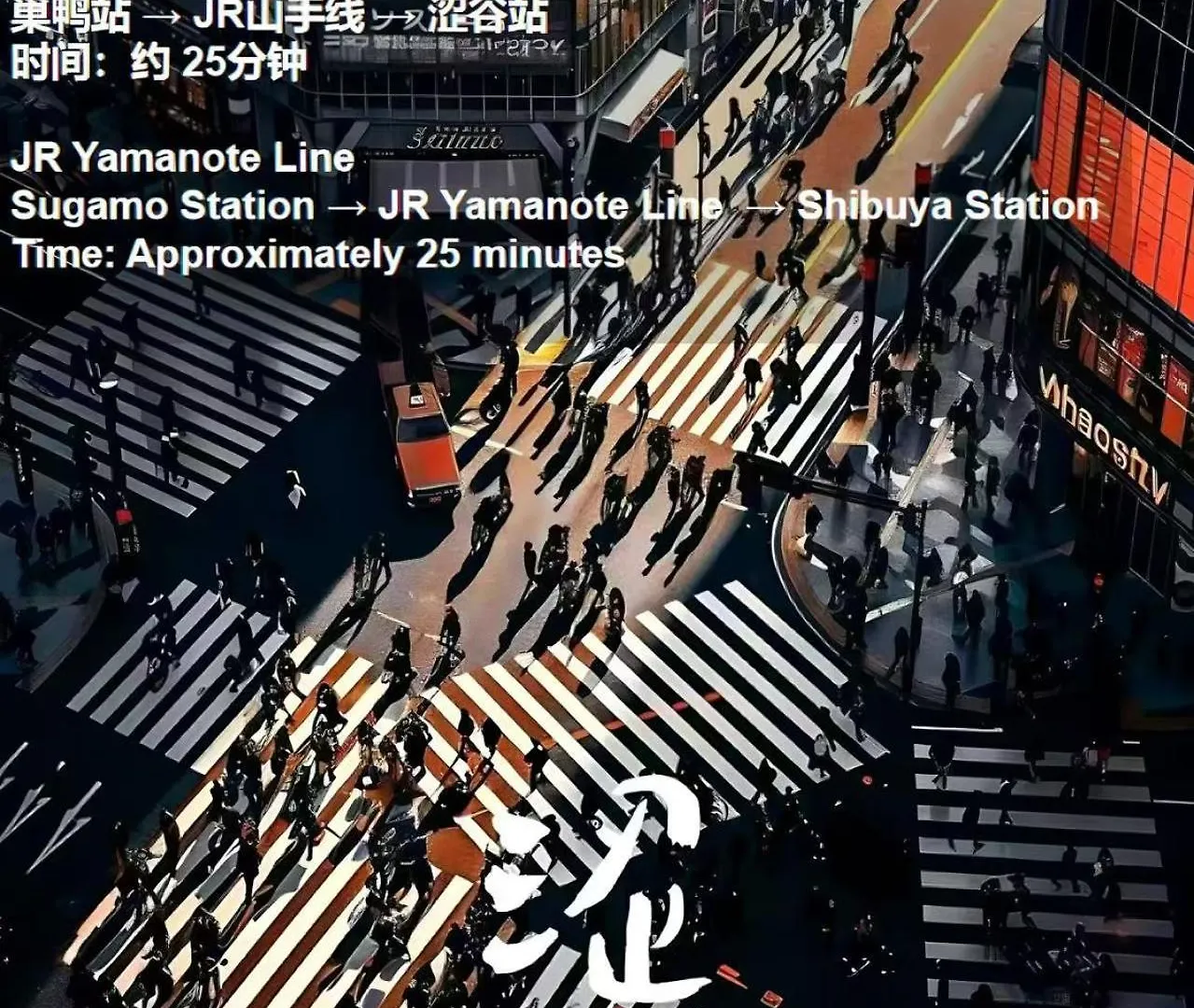 桜の川3 Sugamo Diamond Mansion 105 Direct To Ikebukuro Yamanote Line 5Mins Apartment Tokyo