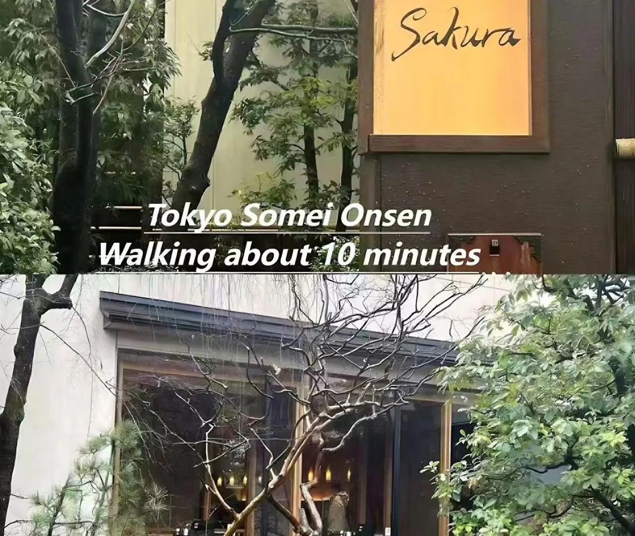 桜の川3 Sugamo Diamond Mansion 105 Direct To Ikebukuro Yamanote Line 5Mins Apartment Tokyo